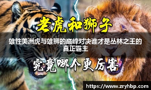 雄性美洲虎与雄狮的巅峰对决谁才是丛林之王的真正霸主